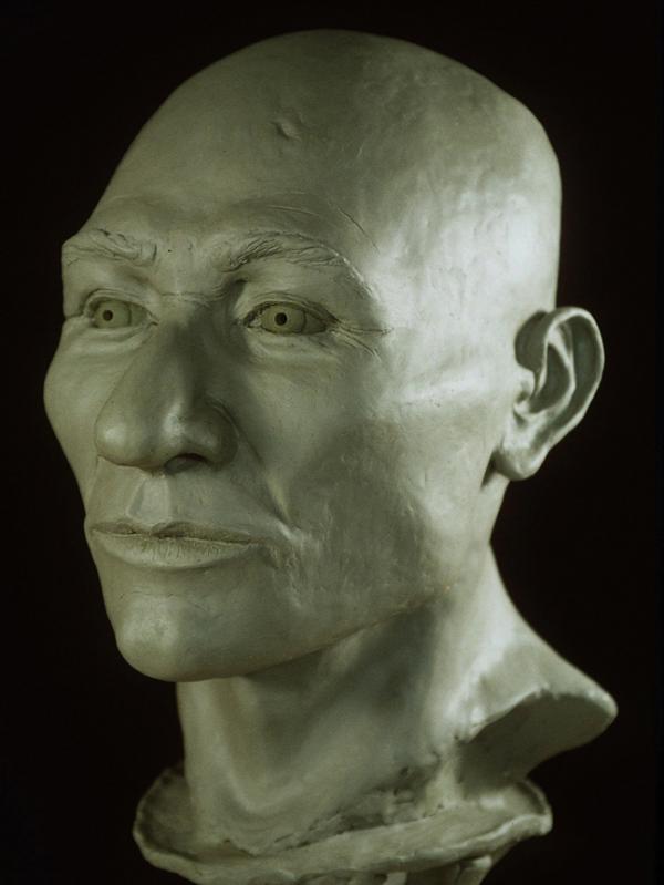A clay model of Kennewick Man's head (AP)