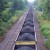 Website funds UW Bothell researcher’s coal-train dust study