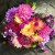 DIY Florist: Create a Bouquet From Your Garden