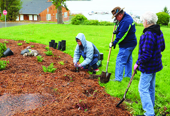 St. Anne’s new rain garden features native plants - Tulalip News