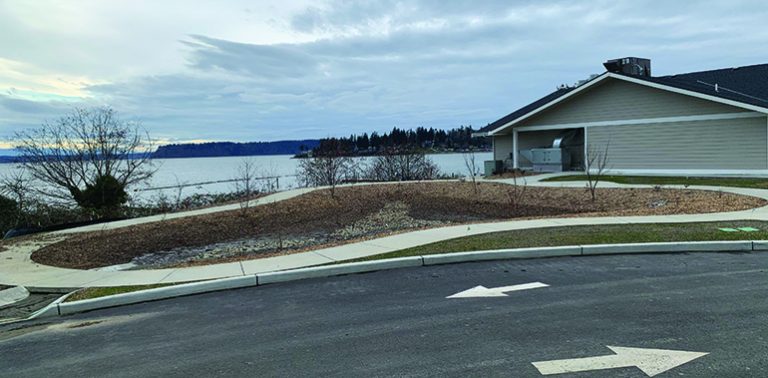 Tulalip rain garden saves the day - Tulalip News